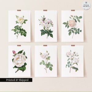 Vintage White Roses Flowers Wall Art Prints Set of 6 / Botanical Floral Wall Art Decor / Minimal Aesthetic Prints / Great Gift Idea / FL16
