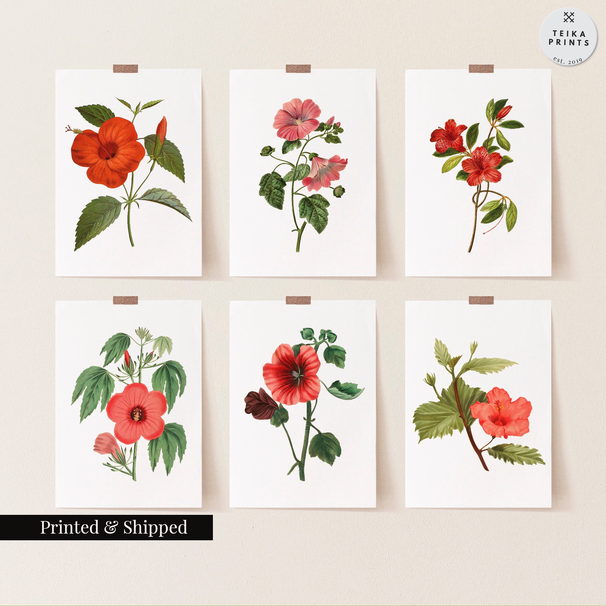 Vintage Hibiscus Wall Art Prints Set of 6 / Botanical Floral Wall