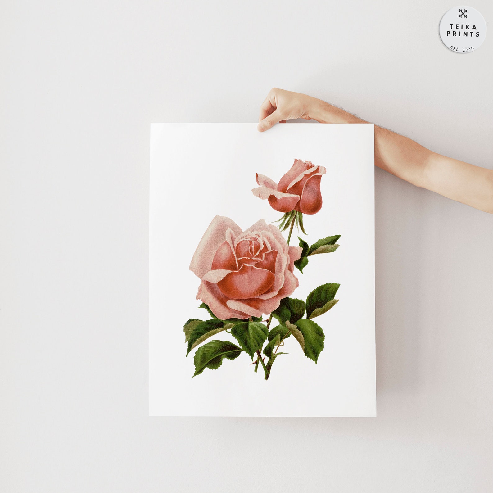 Vintage Pink Roses Flowers Wall Art Prints Set of 6 / Botanical Floral ...