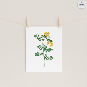 Vintage Yellow Flowers Wall Art Prints Set of 6 / Botanical Floral Wall ...