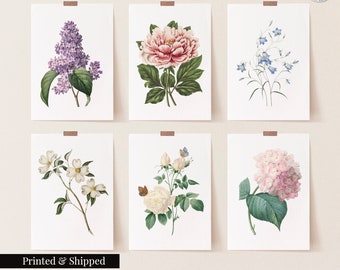 Può includere: Set di sei stampe botaniche con diversi fiori, tra cui lillà, peonia, campanula, corniolo, rosa e ortensia. Le stampe sono in stile vintage con dettagli delicati e colori tenui.