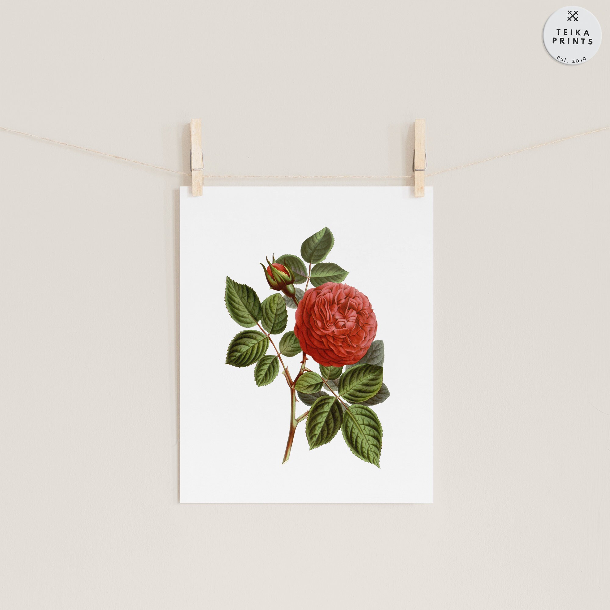 Vintage Red Roses Flowers Wall Art Prints Set of 6 / Botanical Floral ...
