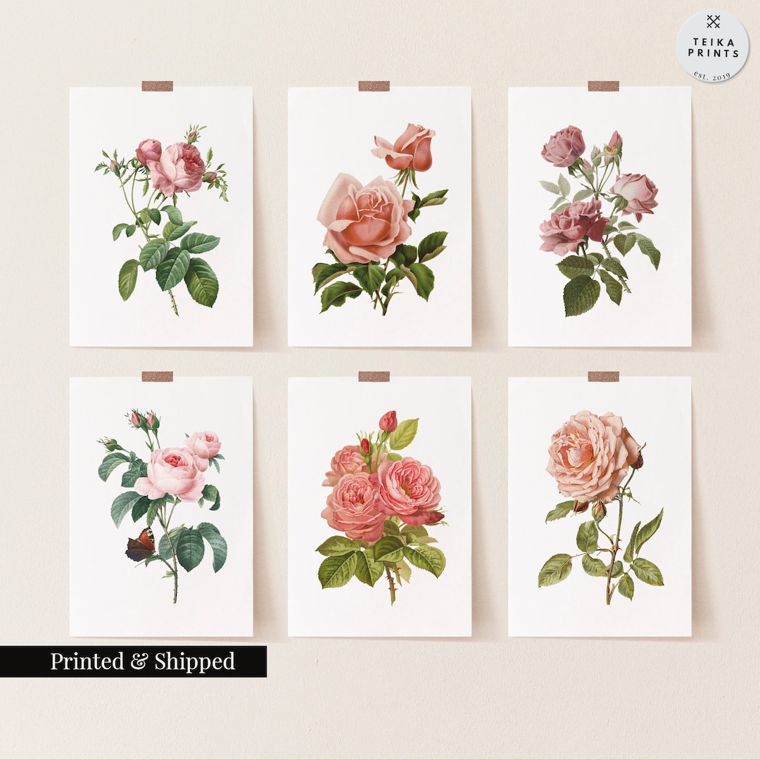 Vintage Pink Roses Flowers Wall Art Prints Set of 6 / Botanical Floral ...