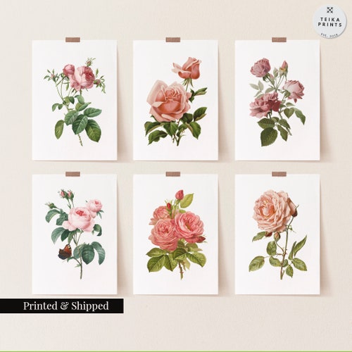 Vintage Pink Roses Wall Art Prints Set of 6 Botanical - Etsy