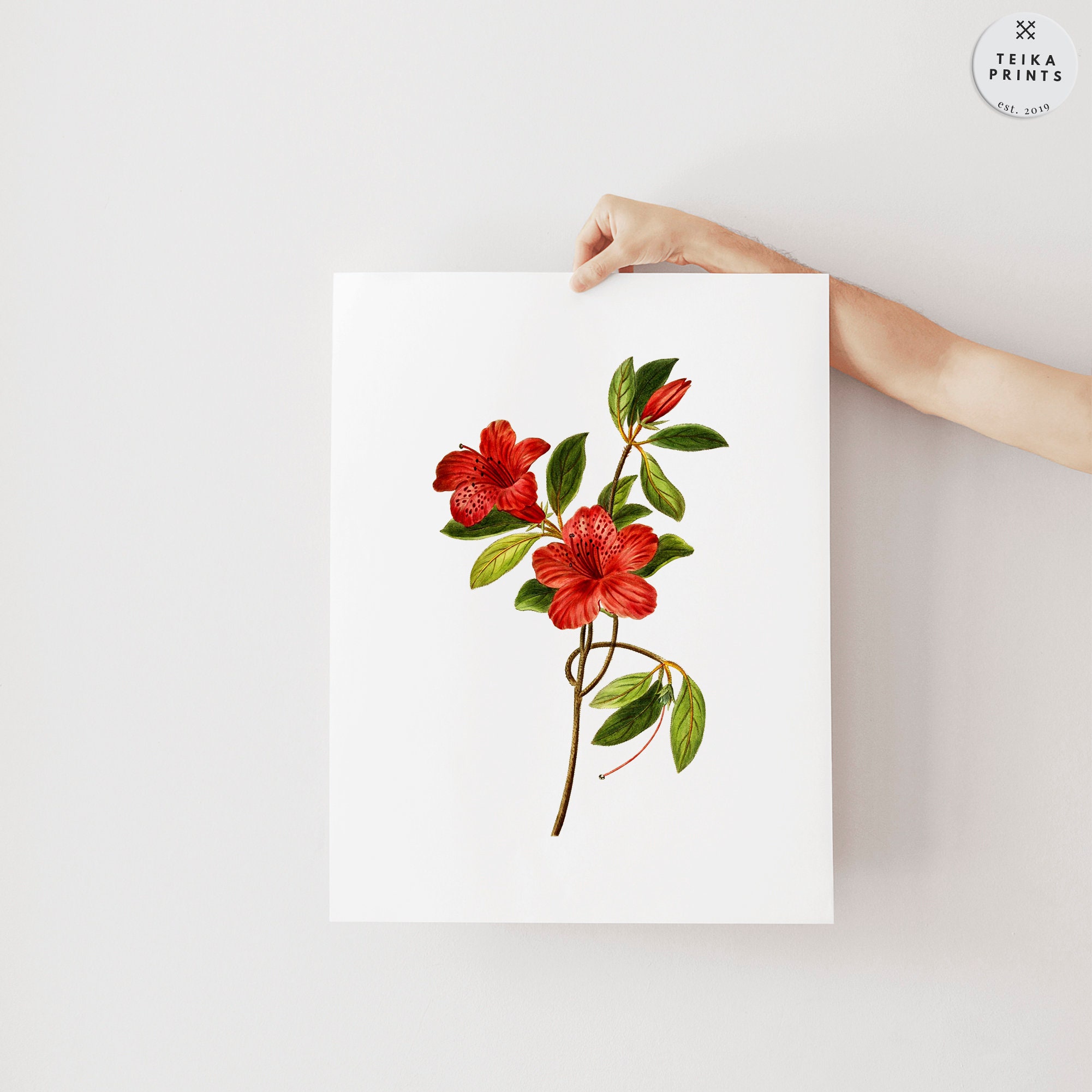 Vintage Hibiscus Wall Art Prints Set of 6 / Botanical Floral Wall Art ...