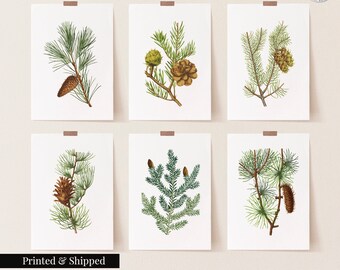 Vintage Forest Pine Branch Wall Art Prints Set of 6 / Botanical Floral Wall Art Decor / Minimal Aesthetic Prints / Great Gift Idea / FL19