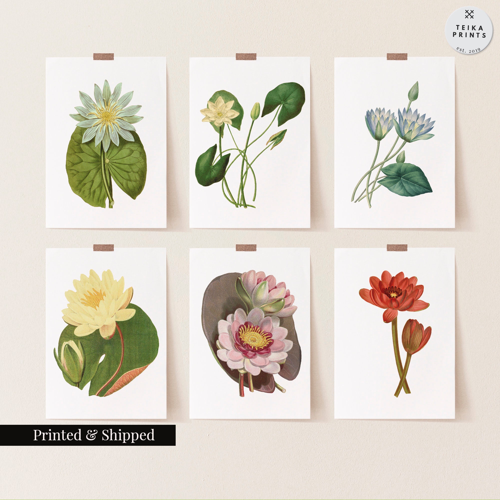 Digital Prints Botanical Art Print Plant Lover Gift Blooming Lotus ...