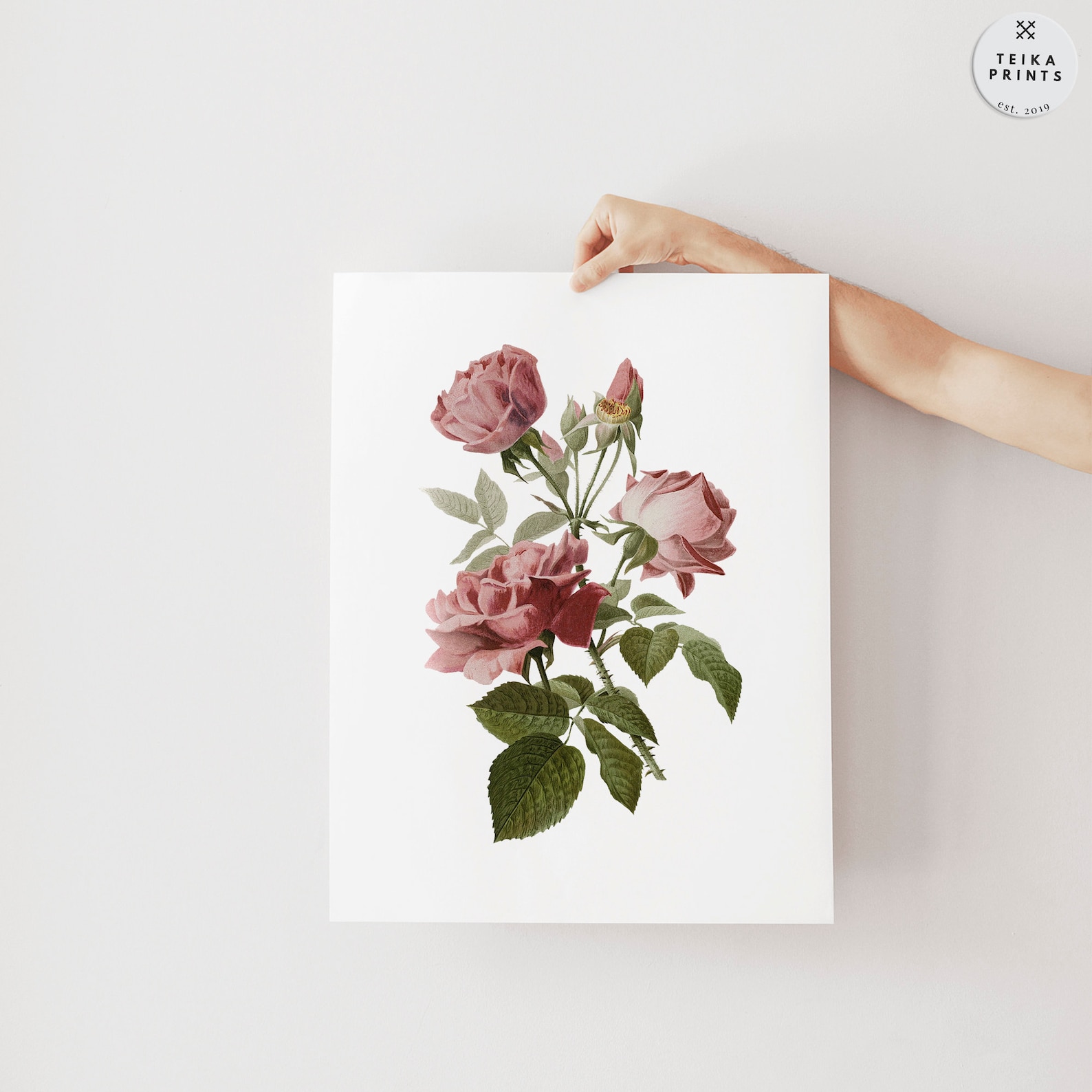 Vintage Pink Roses Flowers Wall Art Prints Set of 6 / Botanical Floral ...