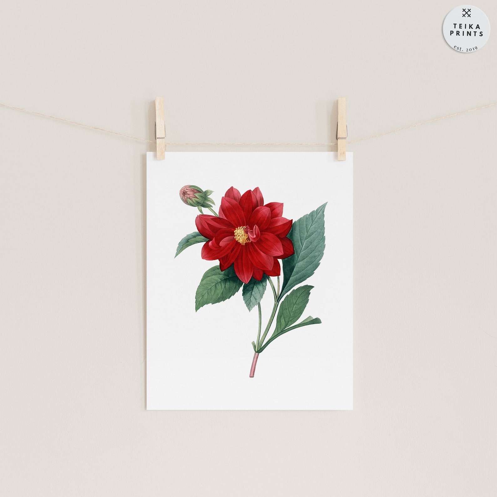 Vintage Red Flowers Wall Art Prints Set of 6 / Botanical Floral Wall ...