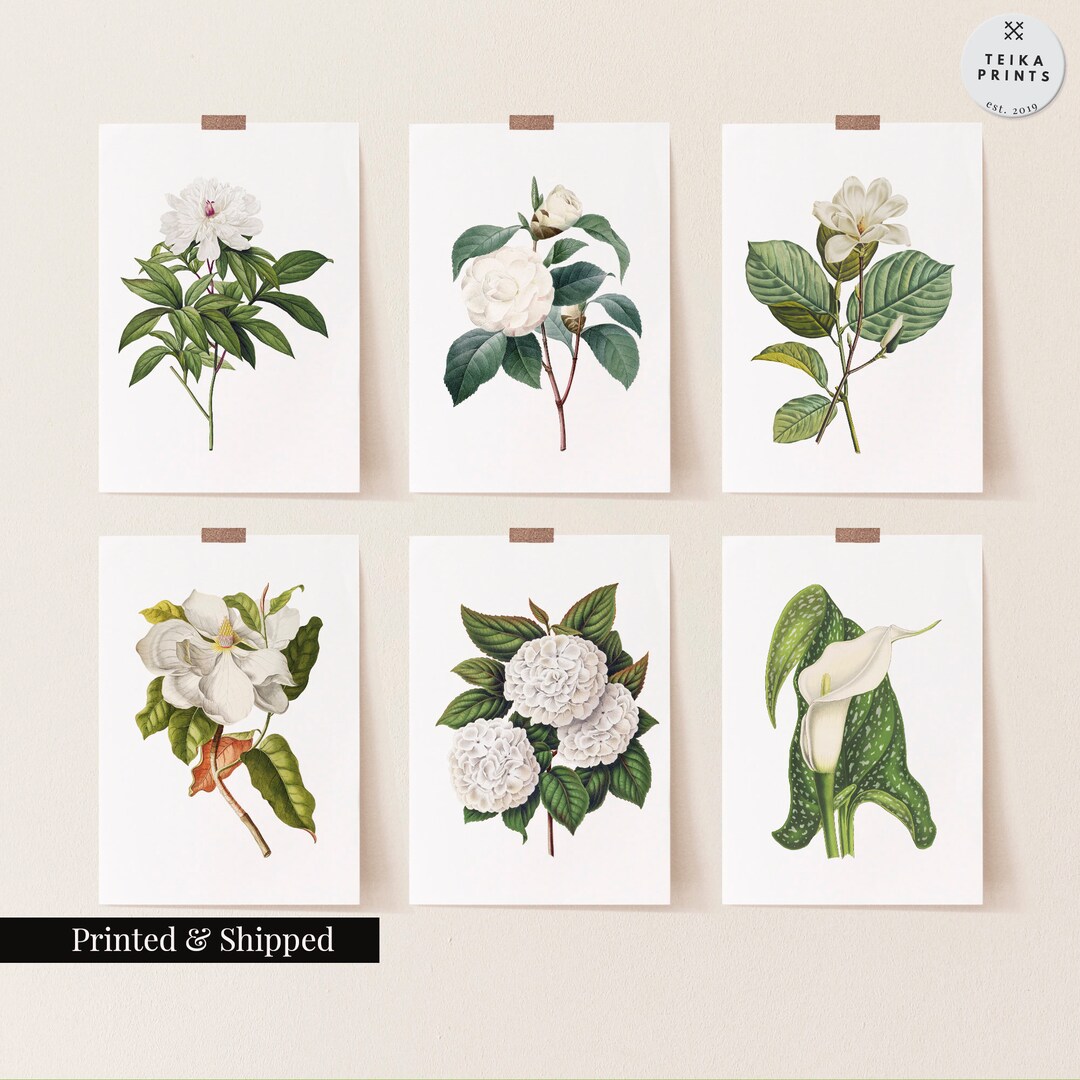 Vintage White Flowers Wall Art Prints Set of 6 / Botanical Floral Wall ...