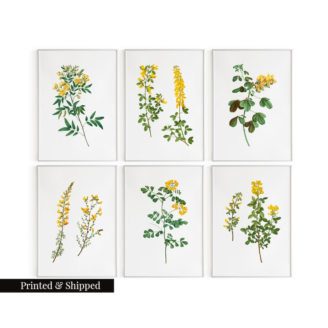 Vintage Yellow Flowers Wall Art Prints Set of 6 / Botanical Floral Wall ...