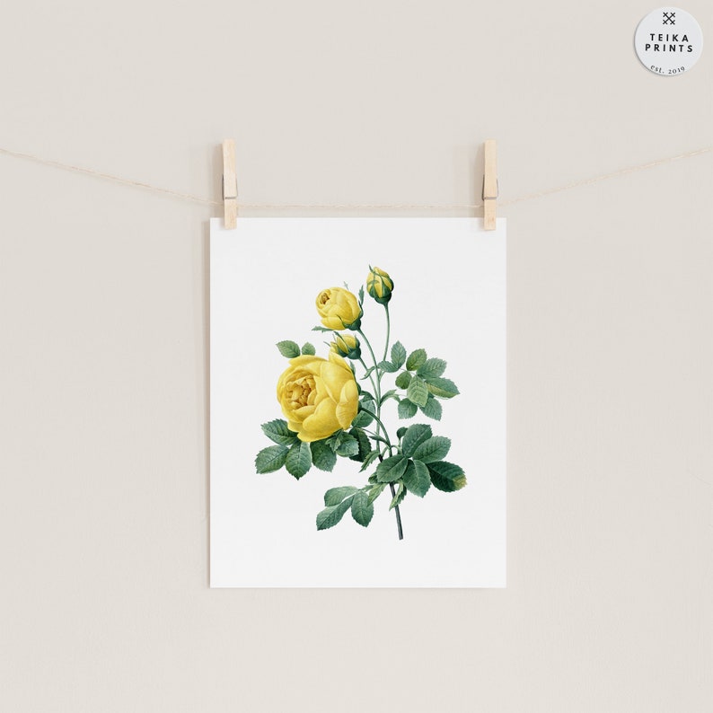 Vintage Yellow Flowers Wall Art Prints Set of 6 / Botanical Floral Wall ...