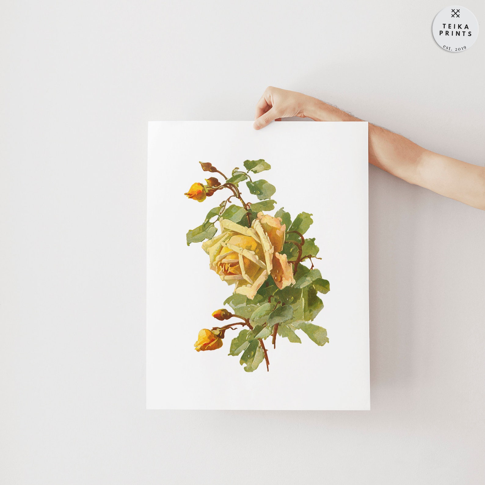 Vintage Roses Wall Art Prints Set of 6 / Botanical Floral Wall Art ...