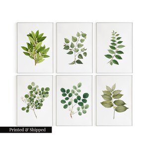 May include: Set of six botanical prints featuring various green leaves and white flowers. The prints are framed in white and have a white background.