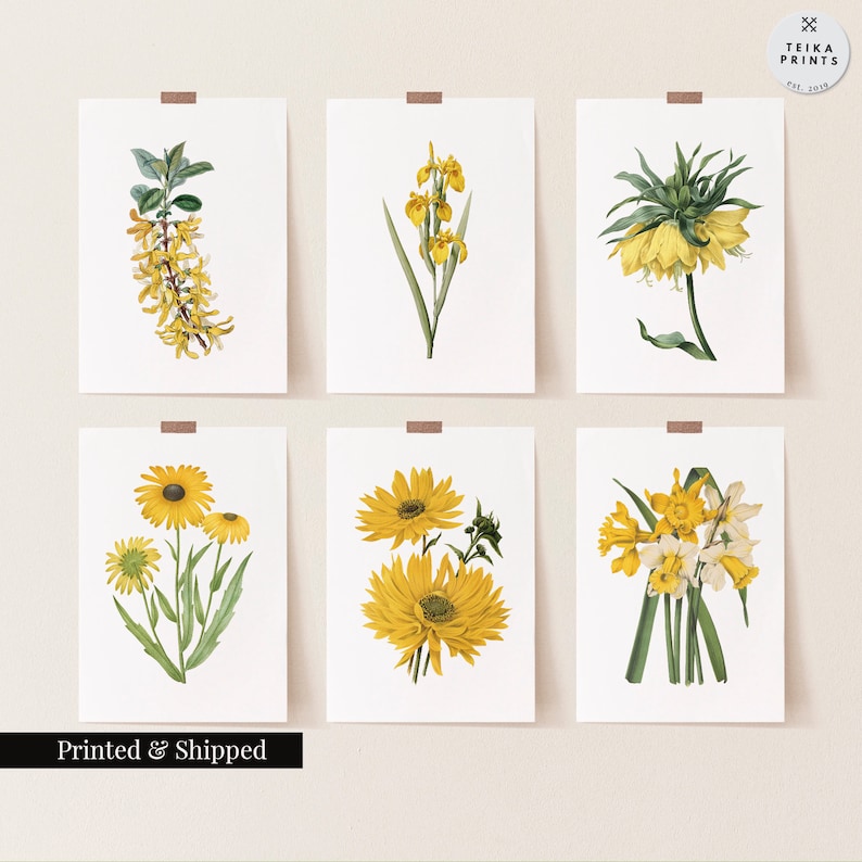 Vintage Yellow Flowers Wall Art Prints Set of 6 / Botanical Floral Wall ...