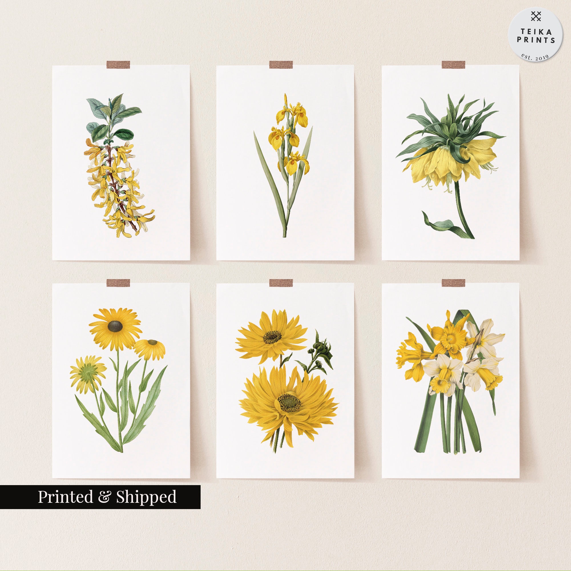 Vintage Yellow Flowers Wall Art Prints Set of 6 / Botanical Floral Wall ...