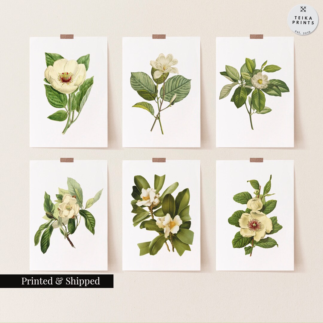 Vintage Magnolia Wall Art Prints Set of 6 / Botanical Floral Wall Art ...