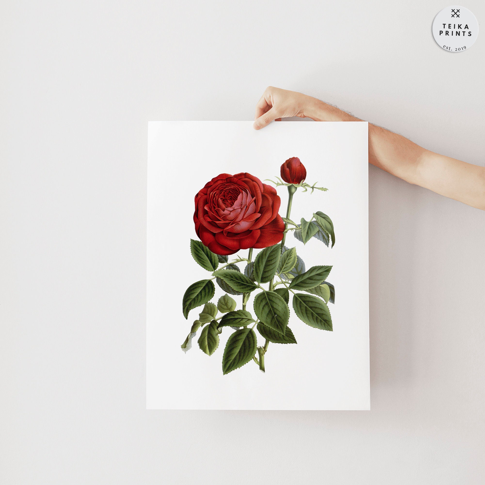 Vintage Red Roses Flowers Wall Art Prints Set of 6 / Botanical Floral ...