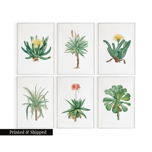Vintage Kakteen Sukkulenten Wandkunst Drucke 6er Set / Botanische Florale Wandkunst Dekor / Minimal Ästhetische Drucke / Tolle Geschenkidee / FL74