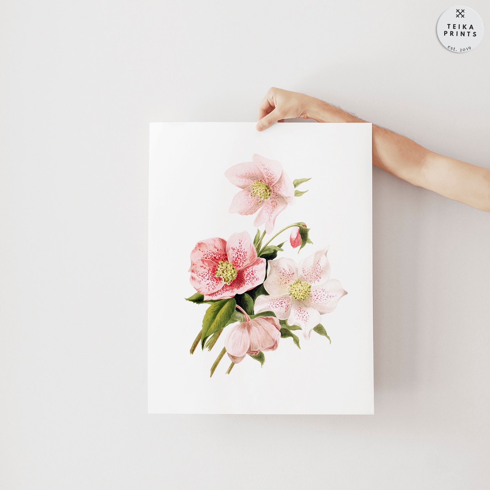 Vintage Pink Flowers Wall Art Prints Set of 6 / Botanical Floral Wall ...