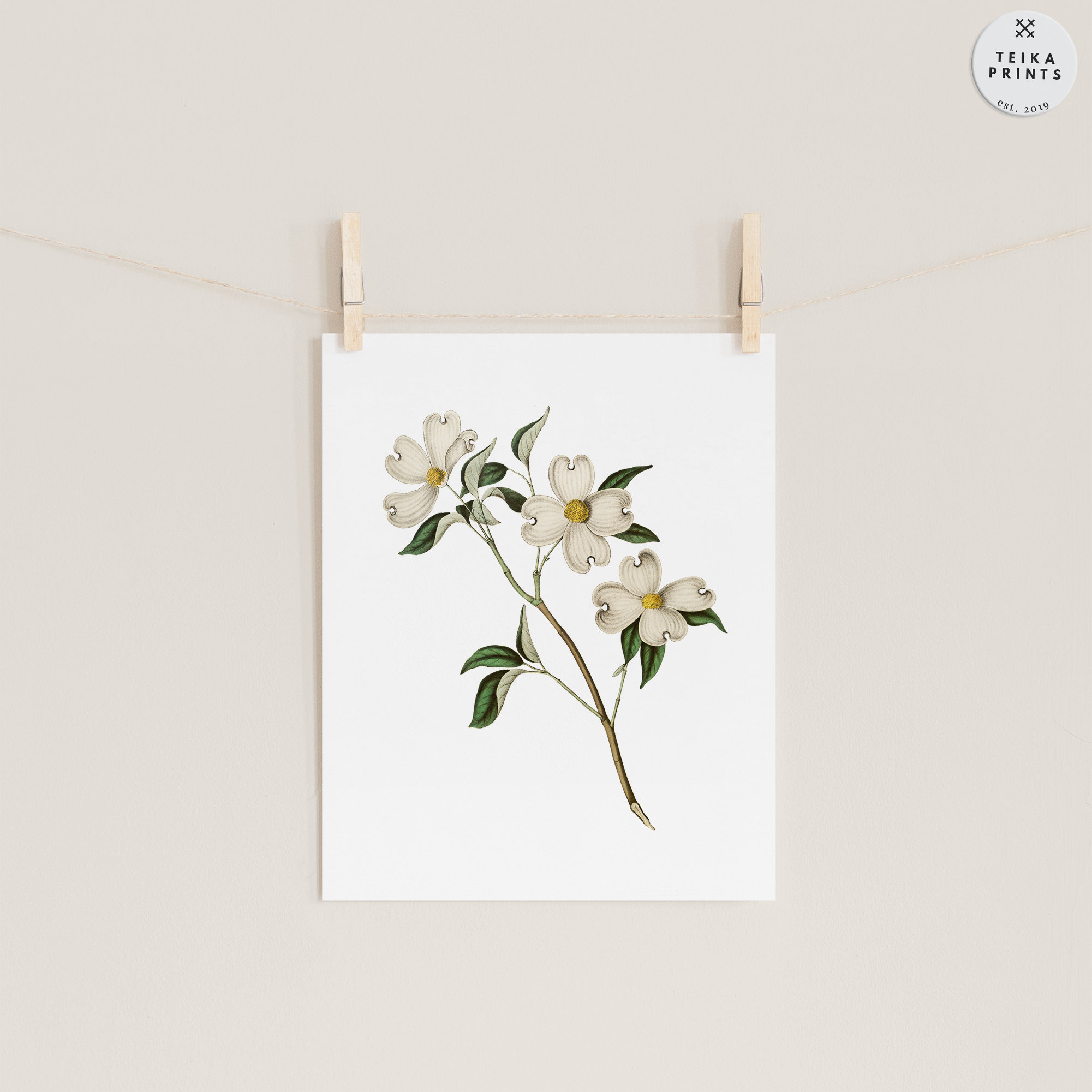 Vintage White Flowers Wall Art Prints Set of 6 / Botanical Floral Wall ...
