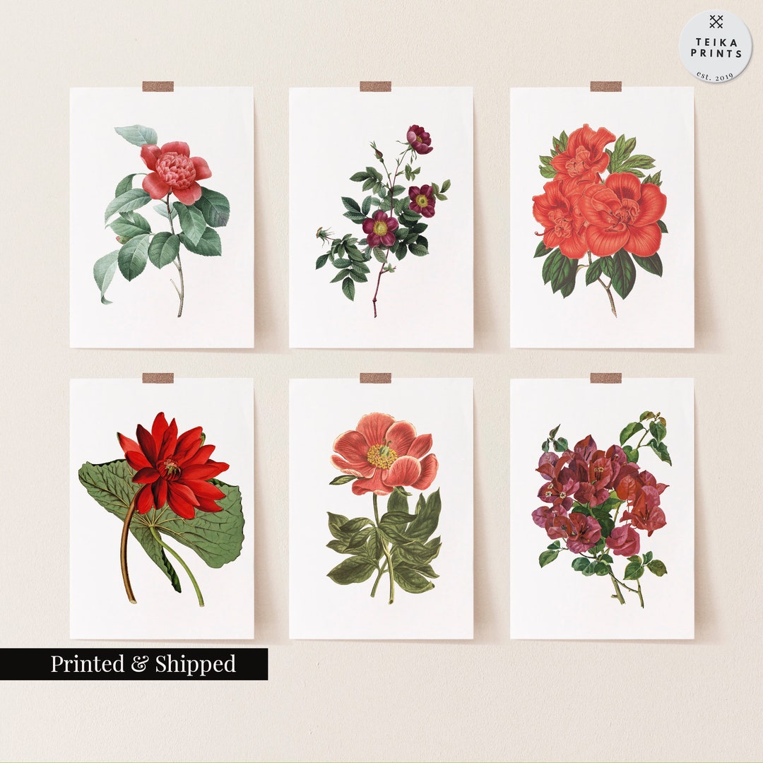 Vintage Red Flowers Wall Art Prints Set of 6 / Botanical Floral Wall ...