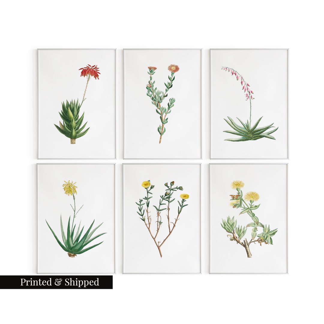 Vintage Flower Mix Wall Art Prints Set of 6 / Botanical Floral Wall Art ...