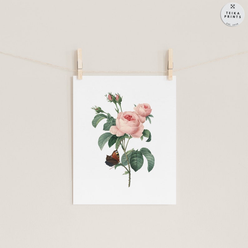 Vintage Pink Flowers Wall Art Prints Set of 6 / Botanical Floral Wall ...