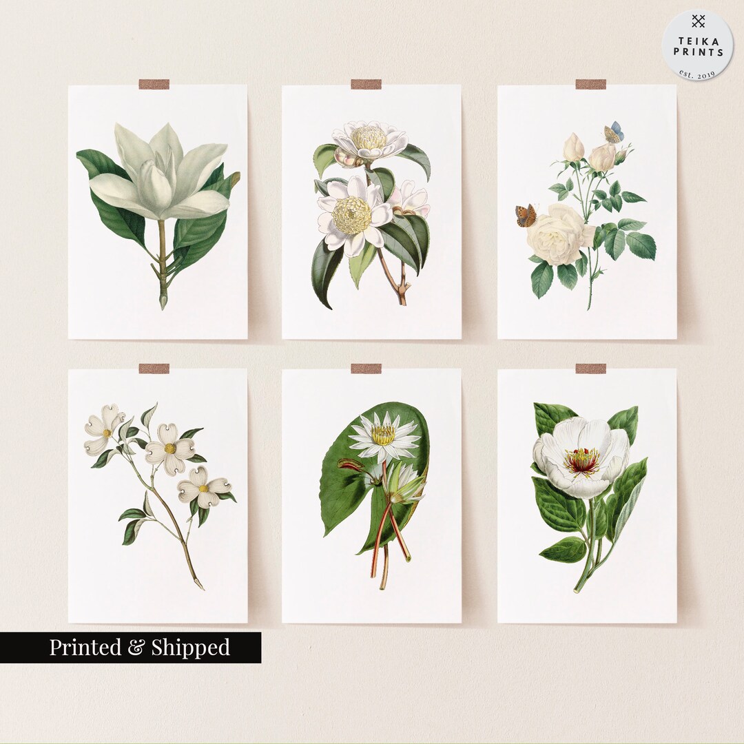 Vintage White Flowers Wall Art Prints Set of 6 / Botanical Floral Wall ...
