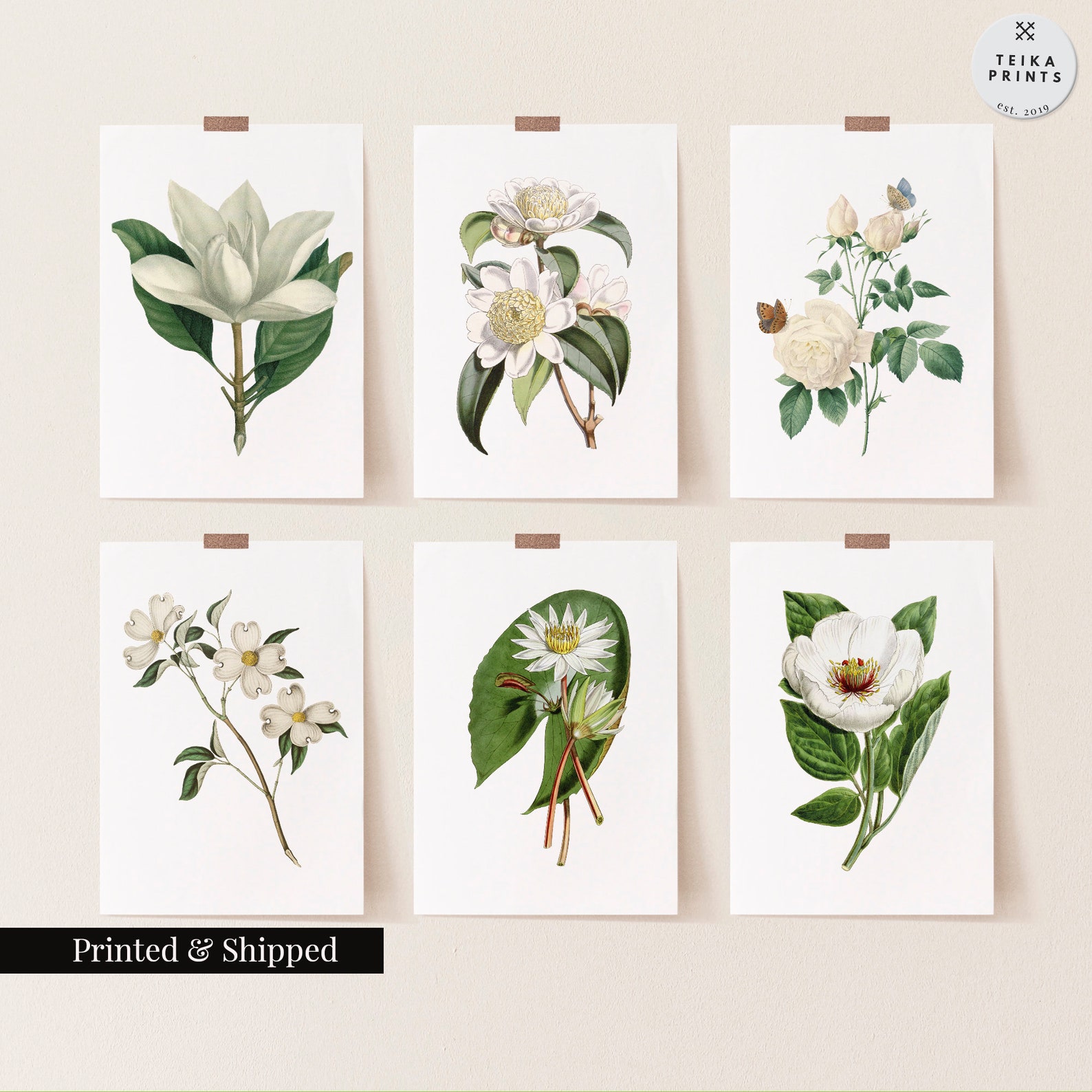Vintage White Flowers Wall Art Prints Set of 6 / Botanical Floral Wall ...