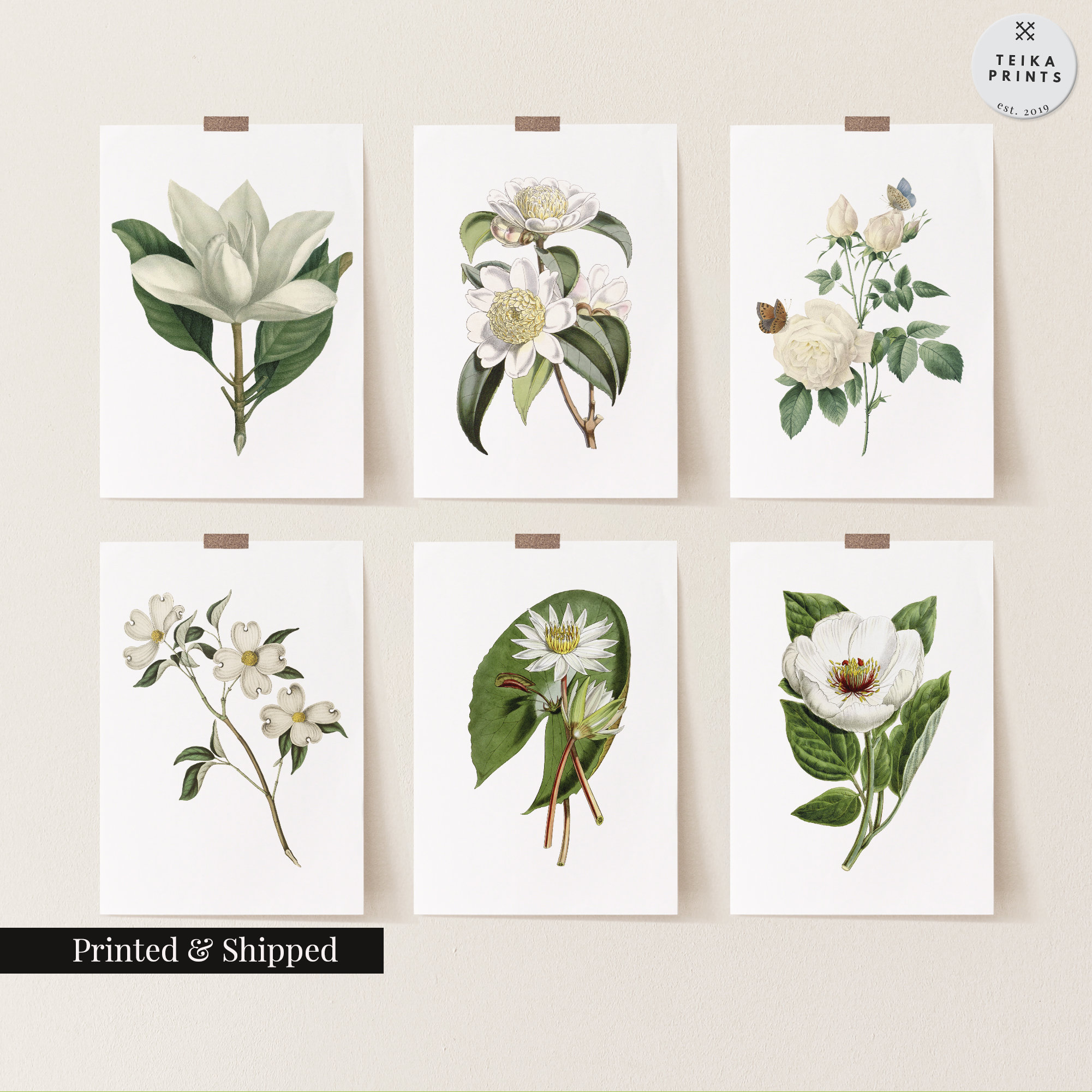 Vintage White Flowers Wall Art Prints Set of 6 / Botanical Floral Wall ...