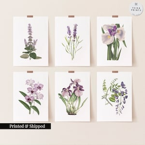 Vintage Purple Flowers Wall Art Prints Set of 6 / Botanical Floral Wall Art Decor / Minimal Aesthetic Prints / Great Gift Idea / FL13