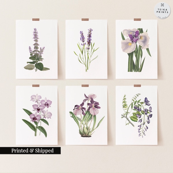 vintage Purple Flowers Wall Art Prints Set of 6 / Botanical Floral Wall Art Decor / Impressions esthétiques minimales / Grande idée cadeau / FL13