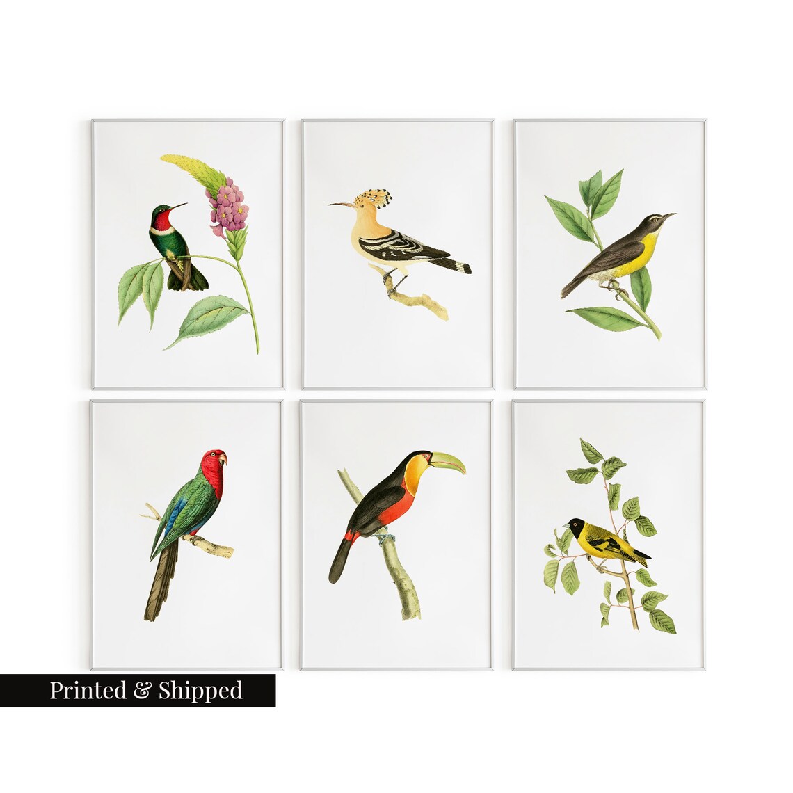 Vintage Birds Wall Art Prints Set of 6 / Botanical Floral Wall Art ...