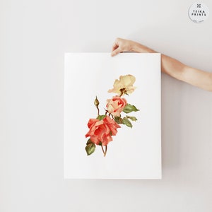 Vintage Roses Wall Art Prints Set of 6 / Botanical Floral Wall Art ...