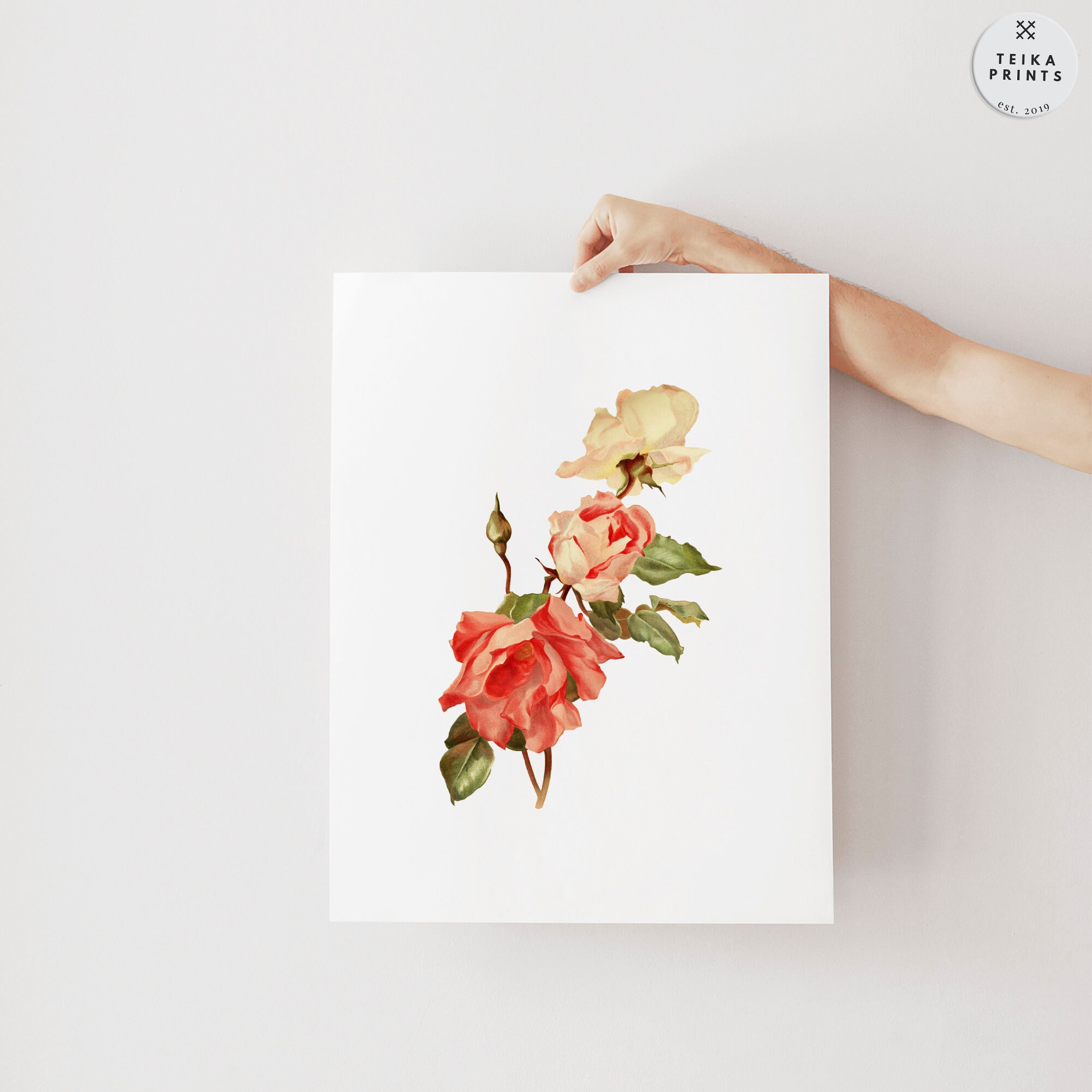 Vintage Roses Wall Art Prints Set of 6 / Botanical Floral Wall Art ...