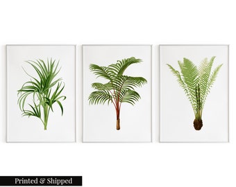 Vintage Palm Leaves Wall Art Prints Set of 3 / Botanical Floral Wall Art Decor / Minimal Aesthetic Prints / Great Gift Idea / FL53