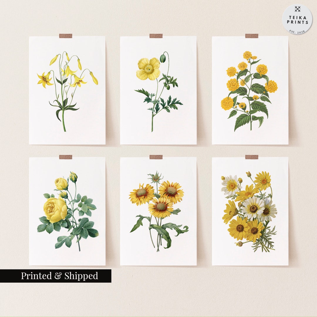 Vintage Yellow Flowers Wall Art Prints Set of 6 / Botanical Floral Wall ...