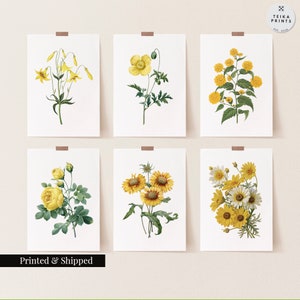 Vintage Yellow Flowers Wall Art Prints Set of 6 / Botanical Floral Wall Art Decor / Minimal Aesthetic Prints / Great Gift Idea / FL08