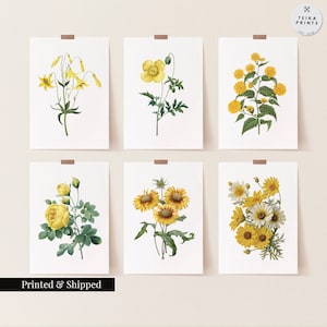 Vintage Yellow Flowers Wall Art Prints Set of 6 / Botanical Floral Wall Art Decor / Minimal Aesthetic Prints / Great Gift Idea / FL08