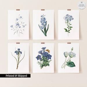 Vintage Blue Flowers Wall Art Prints Set of 6 / Botanical Floral Wall Art Decor / Minimal Aesthetic Prints / Great Gift Idea / FL04