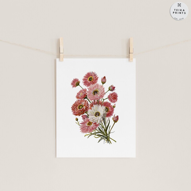 Vintage Pink Flowers Wall Art Prints Set of 6 / Botanical Floral Wall ...