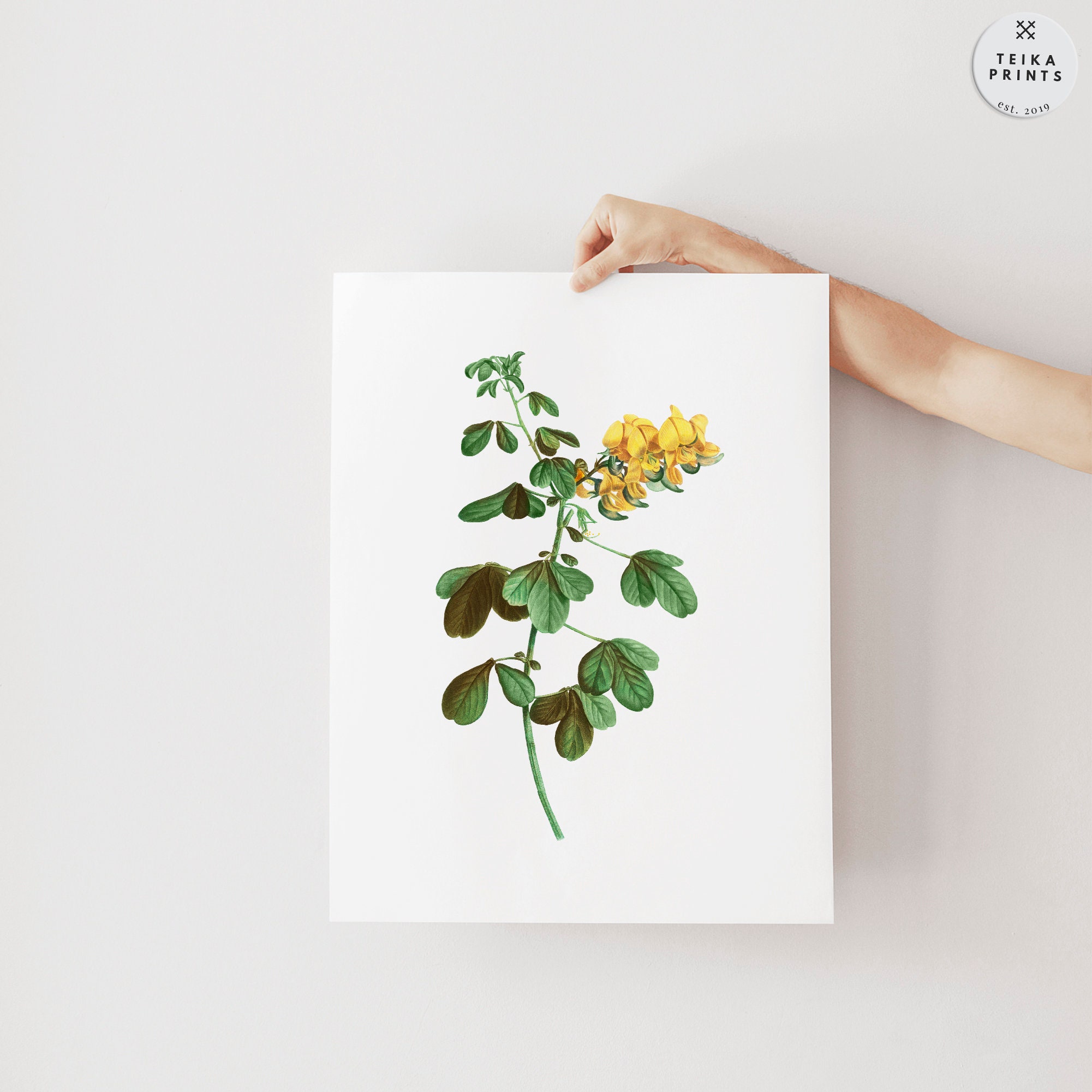 Vintage Yellow Flowers Wall Art Prints Set of 6 / Botanical Floral Wall ...