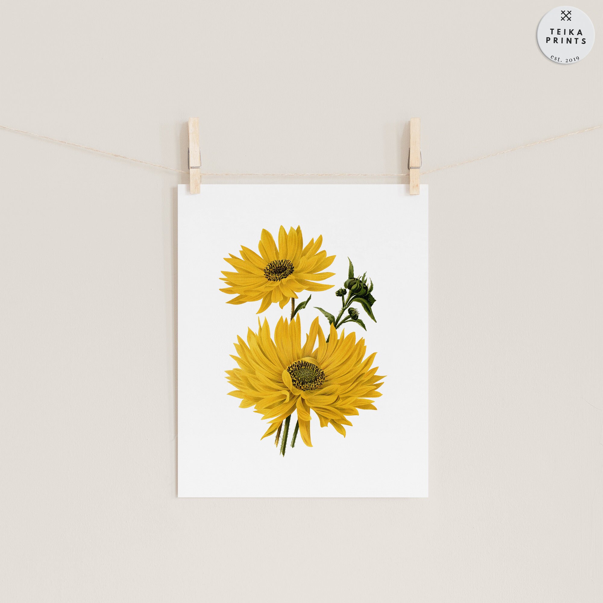 Vintage Yellow Flowers Wall Art Prints Set of 6 / Botanical Floral Wall ...