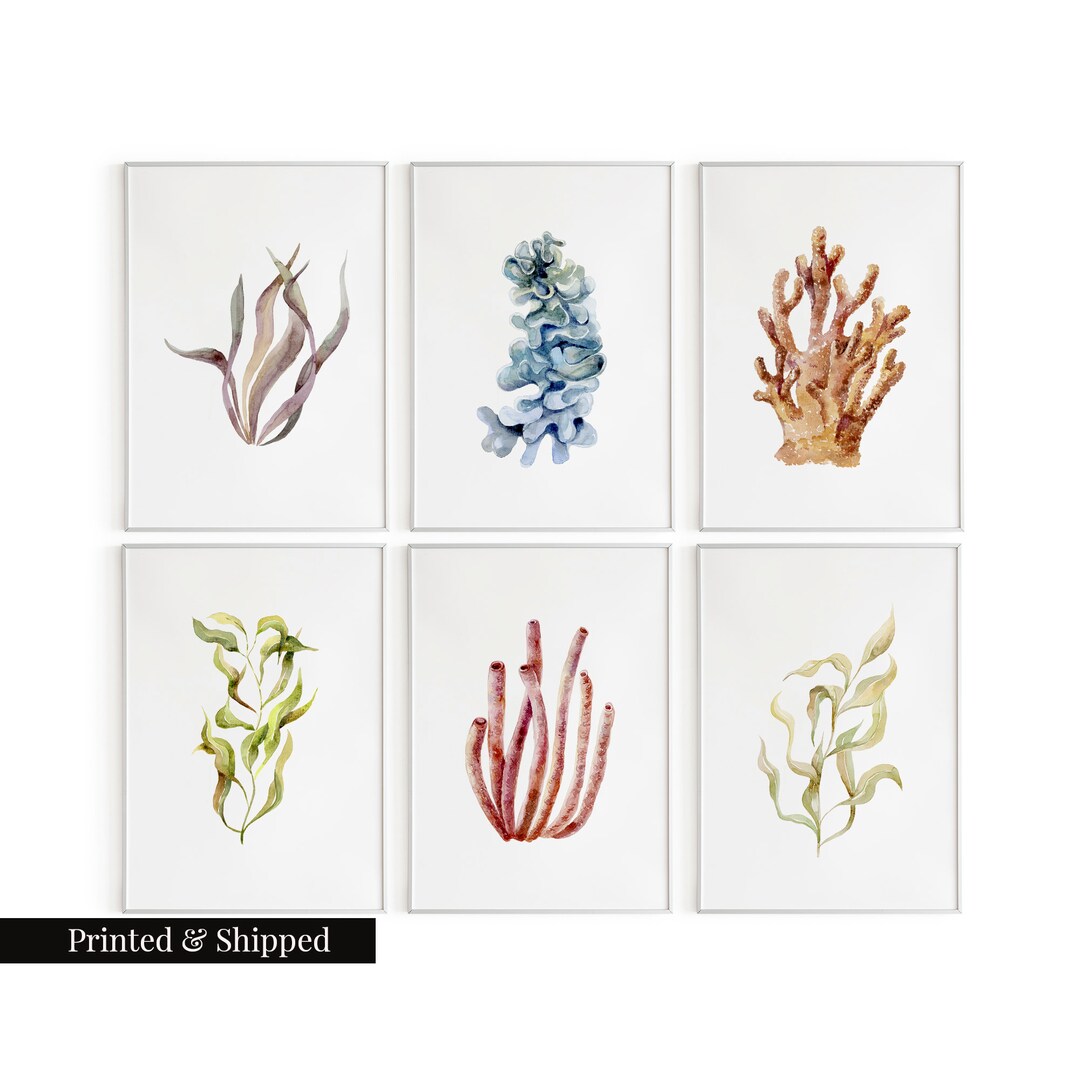 Vintage Watercolor Seaweed Wall Art Prints Set of 6 / Botanical Floral ...