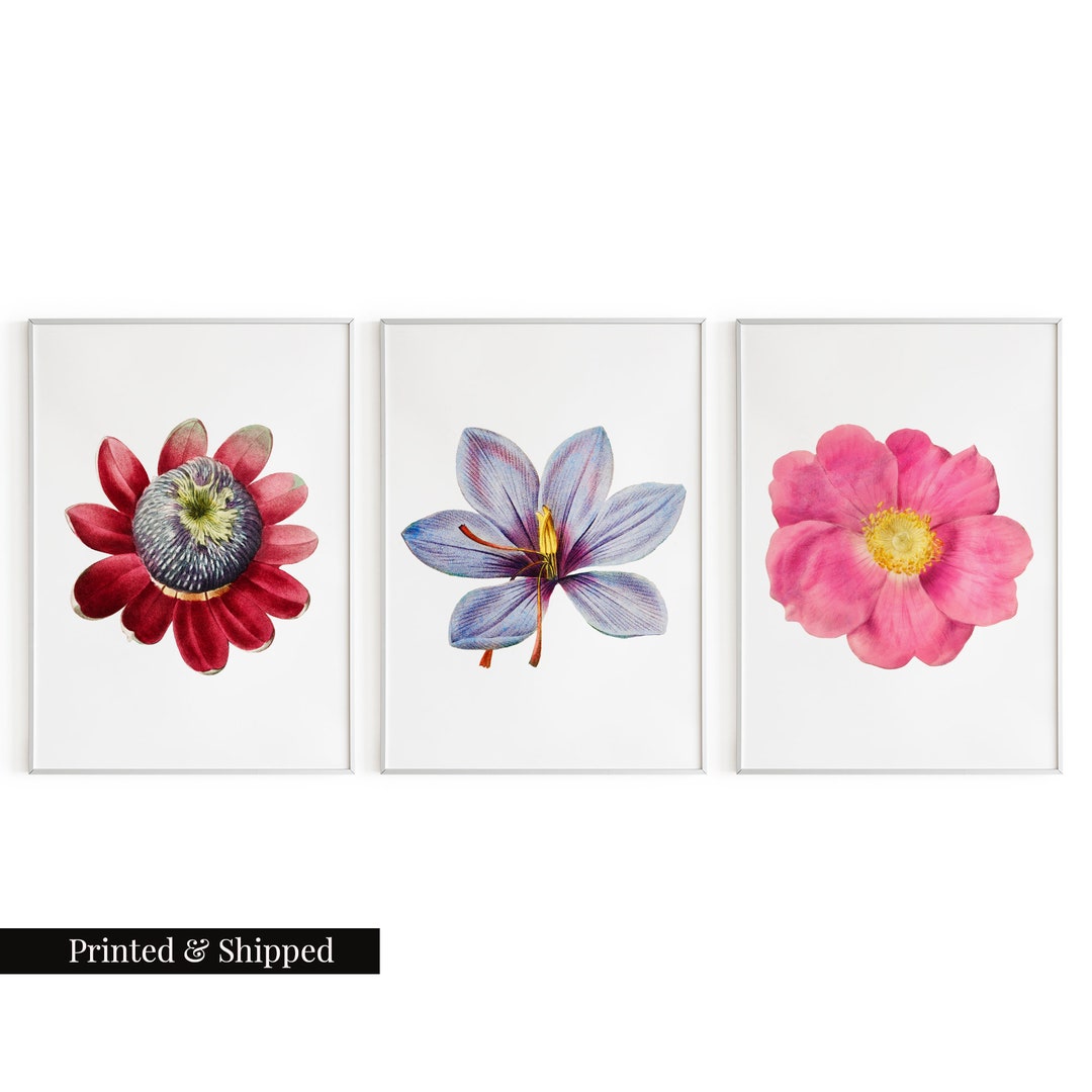 Vintage Mix of Flowers Wall Art Prints Set of 3 / Botanical Floral Wall ...