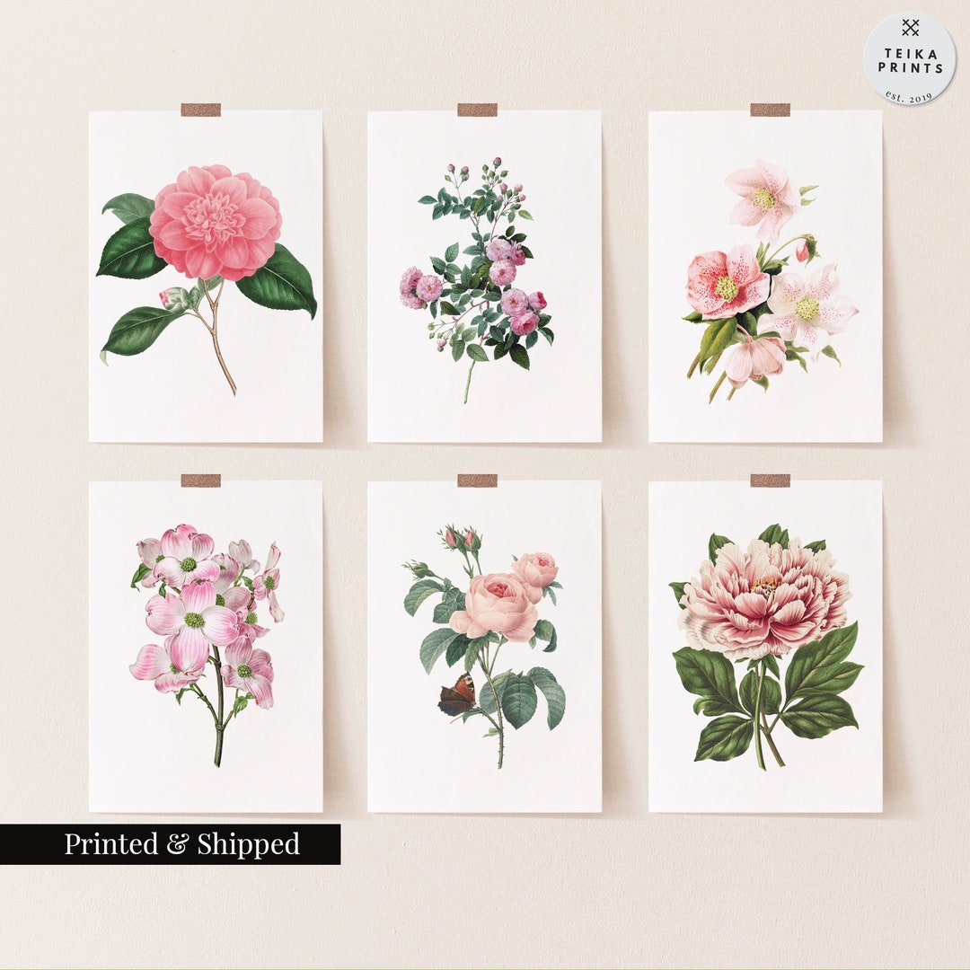 Vintage Pink Flowers Wall Art Prints Set of 6 / Botanical Floral Wall ...