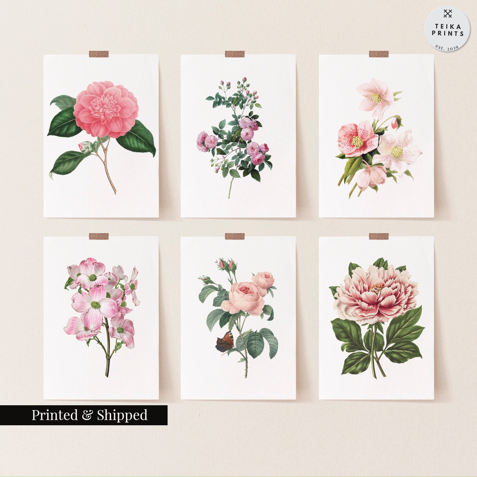 Vintage Pink Flowers Wall Art Prints Set of 6 / Botanical Floral Wall ...