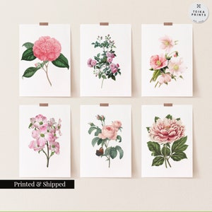 Lot de 6 impressions d'art mural fleurs roses vintage / déco florale botanique murale / impressions esthétiques minimales / excellente idée cadeau / FL05
