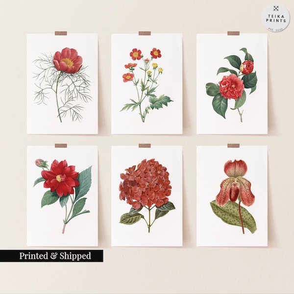 Vintage Red Flowers Wall Art Prints Set of 6 / Botanical Floral Wall Art Decor / Minimal Aesthetic Prints / Great Gift Idea / FL09